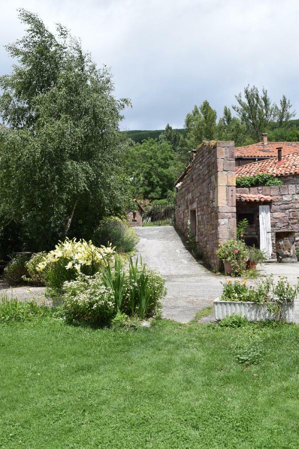 Casa Miguel Appartement Olea Buitenkant foto